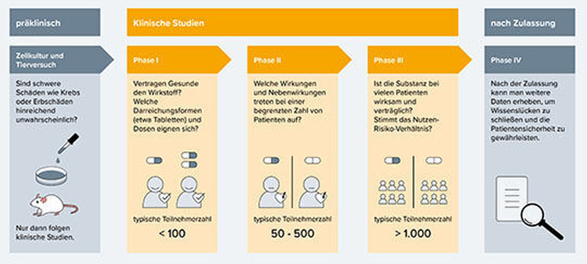 Die Phasen klinischer Studien (nach (6))