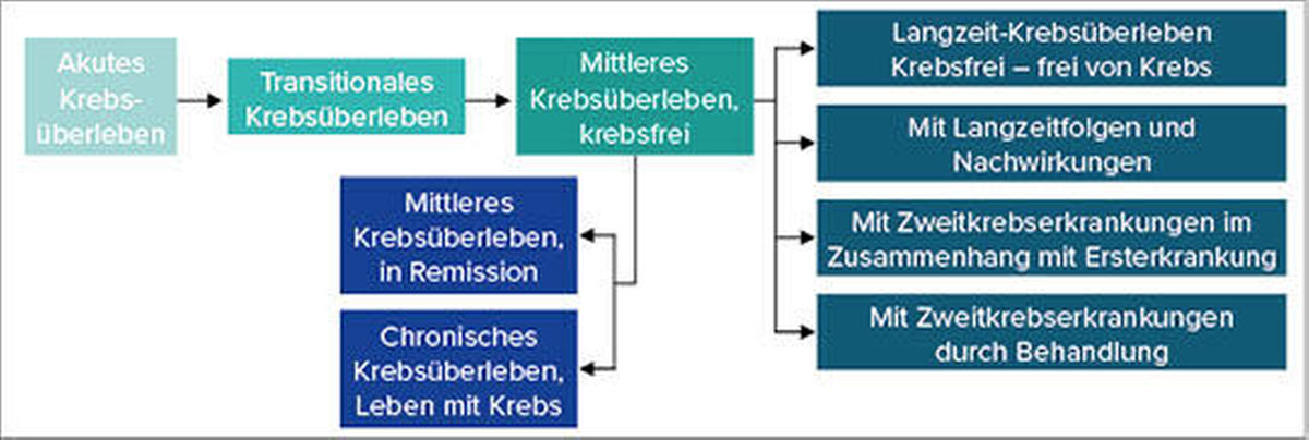 Abb. 1: Erweitertes Modell der Überlebensphasen (mod. nach (7)).