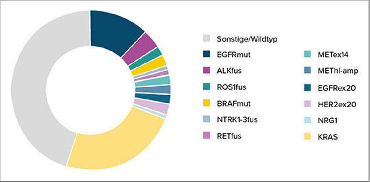 Abb. 1: Die Abschnitte im Kuchendiagramm fächern immer weiter auf. Ein großer Abschnitt fällt auf die jahrzehntelang als „undrugable“ geltende KRAS-Mutation. Was nicht zu sehen ist: Auch die Abschnitte selbst unterteilen sich weiter. Für KRAS z.B. steht nicht nur eine zugelassene Therapie zur Verfügung (Sotarasib/Lumakras®), sondern es befinden sich weitere GTPase-Inhibitoren (auch für andere Typen der KRAS-Varianten wie G12C, G12V oder G12D) in der klinischen Entwicklung, darunter auch Kombinationstherapien. Quelle: nNGM, Stand 2022/2023.