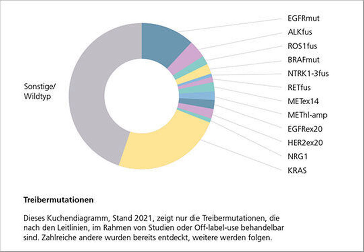 Abb. 1: Treibermutationen: Adeno- und Plattenepithelkarzinom des NSCLC.