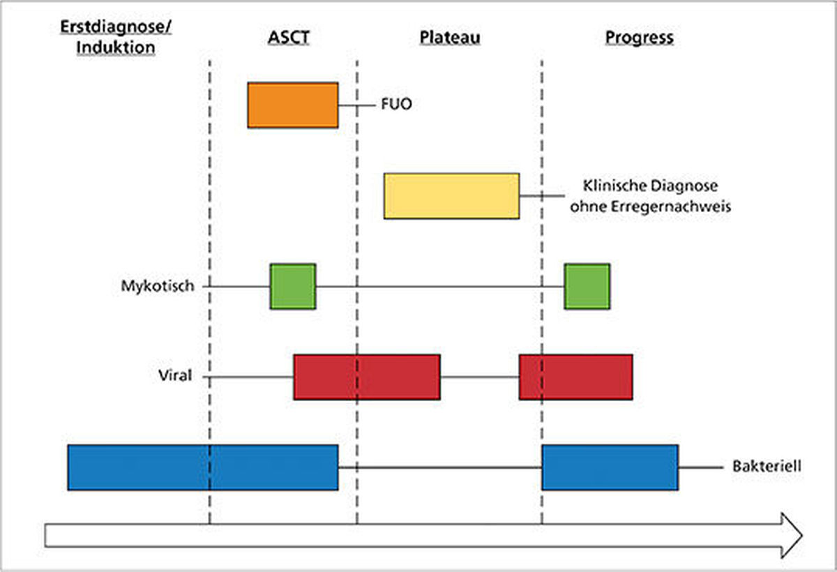 Infektionsmuster beim Multiplen Myelom