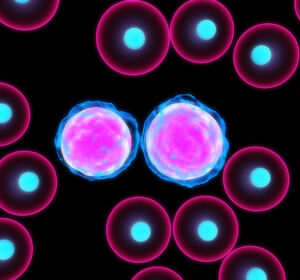 4 Jahre Acalabrutinib bei der CLL – Verträglichkeit im Fokus