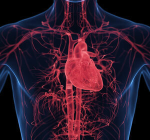 CLL: Zanubrutinib mit weniger Nebenwirkungen als BTK der 1. Generation