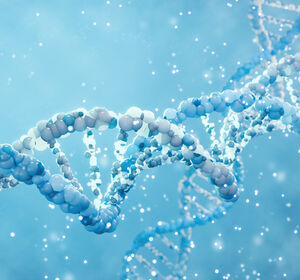 Stellenwert der Biomarker-Testung in den frühen Stadien des NSCLC (Stadium I-III) aus Patientensicht