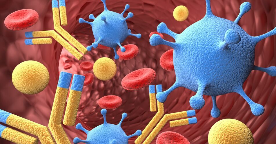 Bispezifischer Antikörper Glofitamab: Phase-II-Studie zeigt anhaltende komplette Remissionen beim vorbehandelten r/r DLBCL