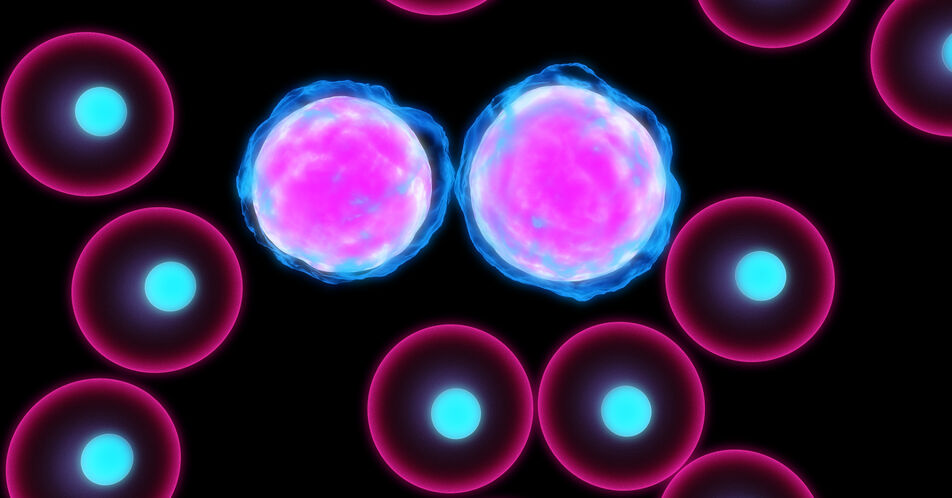 4 Jahre Acalabrutinib bei der CLL – Verträglichkeit im Fokus