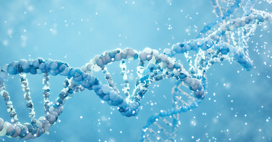 Stellenwert der Biomarker-Testung in den frühen Stadien des NSCLC (Stadium I-III) aus Patientensicht