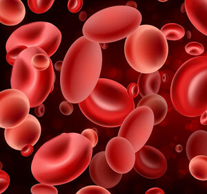 Hämophilie A: Efanesoctocog alfa bietet signifikanten Schutz vor Blutungen