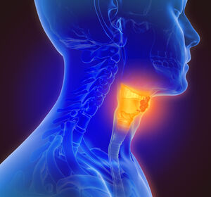 Neues bildgebendes Analyseverfahren revolutioniert die Diagnostik von Kopf- und Halstumoren