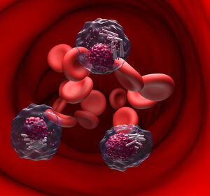 ASH: CLL – Hohe Rate an MRD-Negativität mit Dreifachkombi in Erstlinie in Phase-II-Studie