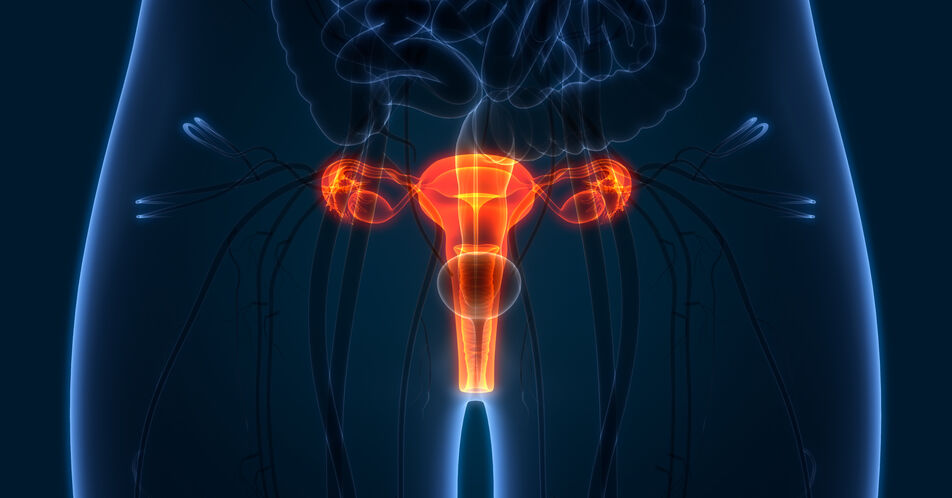 Endometrium- und Ovarialkarzinom: Aktuelle Daten zu Dostarlimab und Niraparib