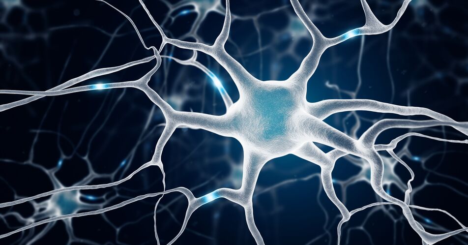 Gliome – Netzwerkbildung als Resistenzmechanismus