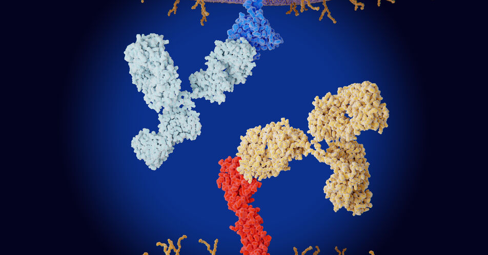 ESMO: aUC: Sicherheit und bedingtes Überleben unter Erstlinien-Erhaltung mit Avelumab 