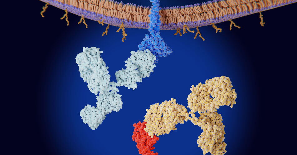 ESMO 2024: PIONeeR-Studie untersucht neue Ansätze gegen Anti-PD-(L)1-Resistenz beim NSCLC