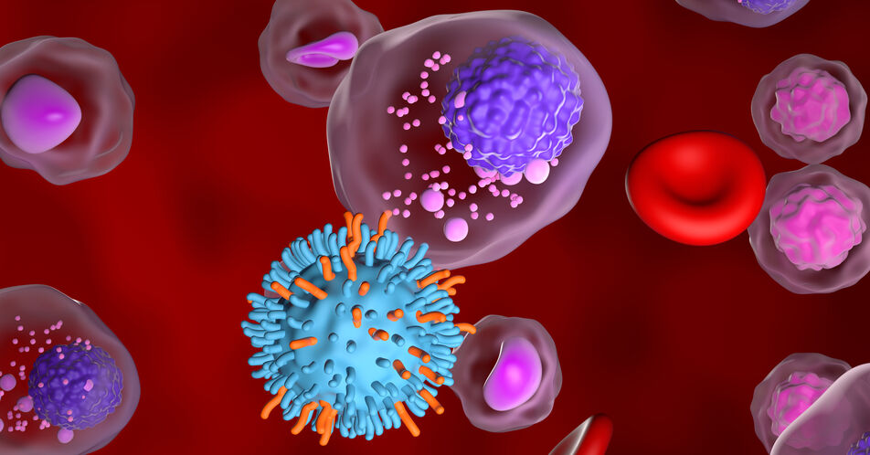 ESMO 2024: Überlebensvorteil für ältere RRMM-Patient:innen durch BCMA-CAR-T-Zellen