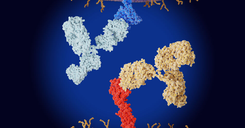 Metastasiertes Analkanalkarzinom (SCAC): Fortschritt durch Immuntherapie 