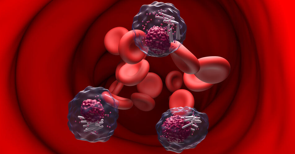 ASH: CLL – Hohe Rate an MRD-Negativität mit Dreifachkombi in Erstlinie in Phase-II-Studie