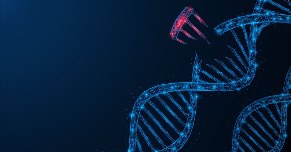 Start einer Phase-I-Studie mit SOS1-Inhibitor für KRAS-mutierte Tumoren