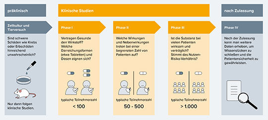 Die Phasen klinischer Studien (nach (6))